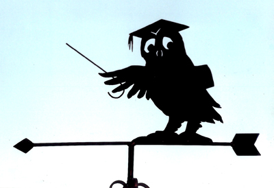 Owl Teaching weathervane